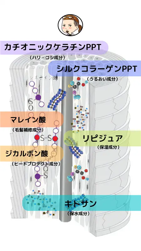 せるふトワ6種の成分（カチオニックケラチンPPT、シルクコラーゲンPPT、マレイン酸、ジカルボン酸、リピジュア、キトサン）